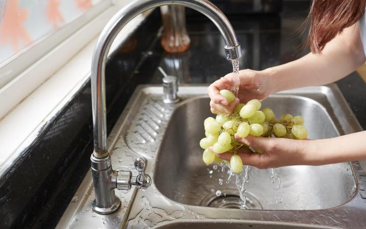 A woman standing at a kitchen sink, washing grapes under tap.